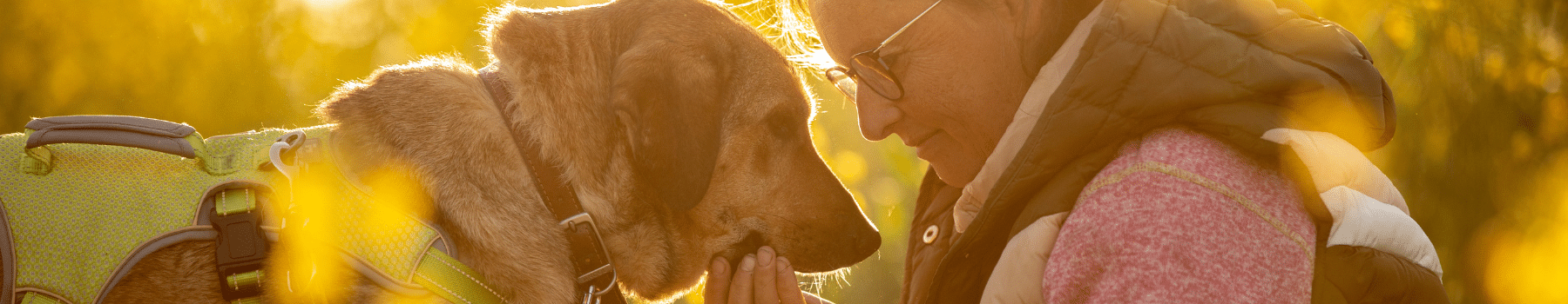 Hunde vertrauen Silke Ritthaler. Sie kennt die richtige Körpersprache, die ein Leithund kommuniziert.