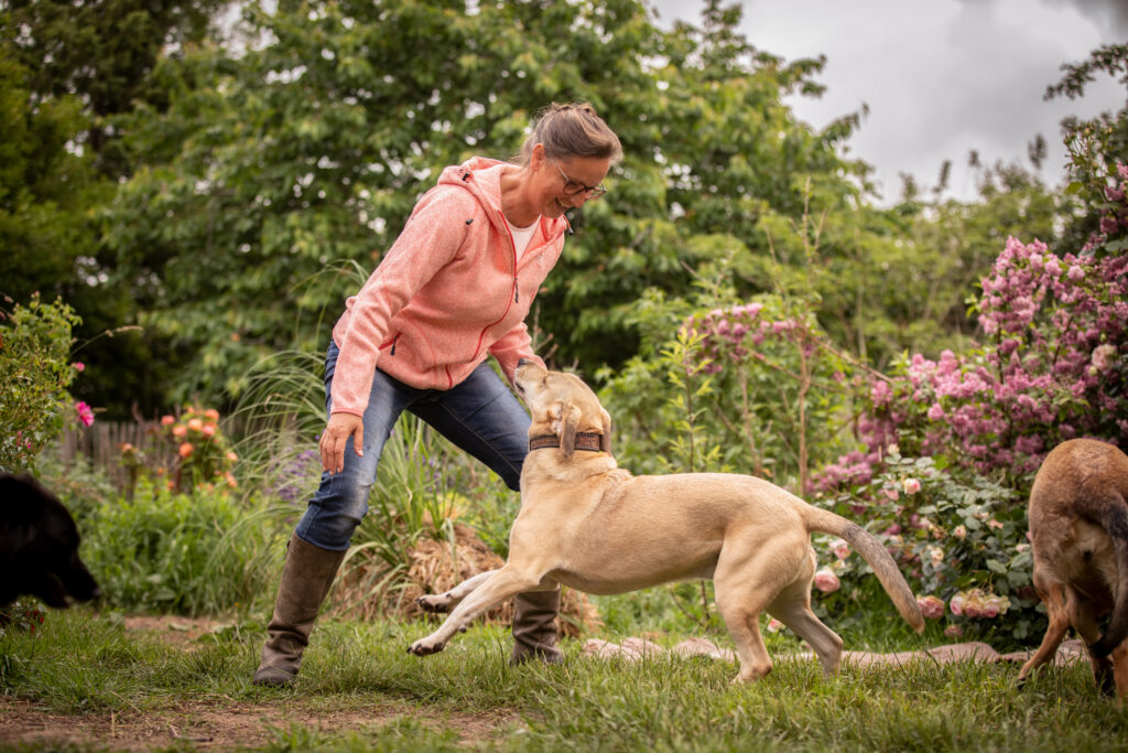 Die Körpersprache zwischen Mensch und Hund ist fast identisch.