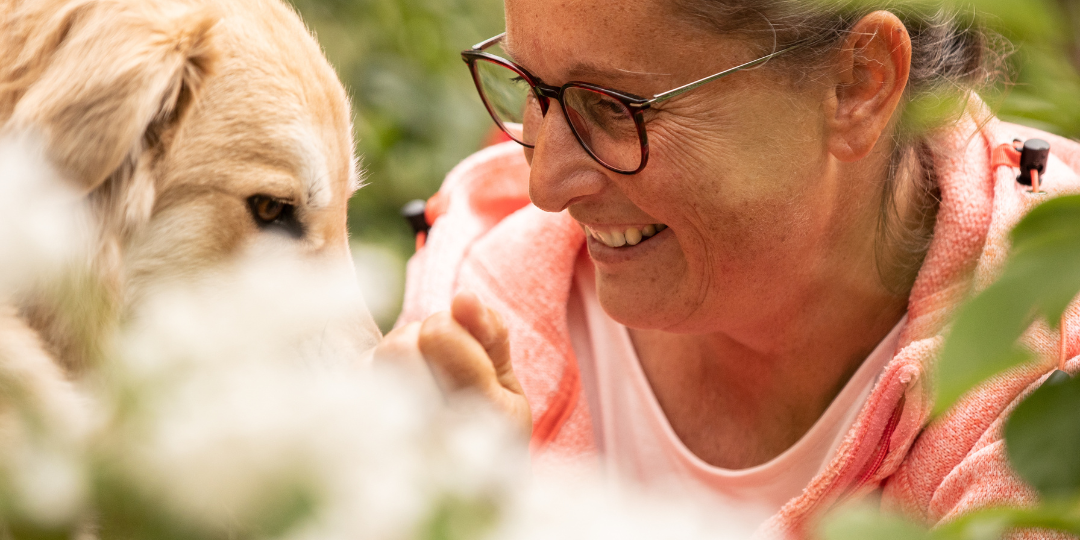 unsicherer Hund braucht Unterstützung